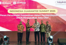  Kebutuhan Kredit UMKM Diperkirakan Capai Rp4.300 T 