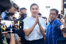 Harvey Moeis Dihukum 20 Tahun Penjara dan Denda Rp 1 Miliar dalam Kasus Korupsi