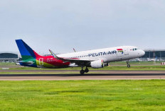   Pelita Air Klaim Raih Laba  dan Kinerja Positif Sepanjang 2024