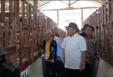 Launching Program Kampung Baznas Sektor Peternakan di Tulang Bawang, Ini Kata Gubernur Lampung