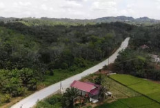  Pembangunan Jalan dan Jembatan Serap 43.628 Tenaga Kerja