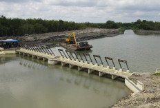 Pj Bupati Tuba Ungkap Rencana Finalisasi Penyerahan Kanal Pertambakan Dipasena ke Pusat