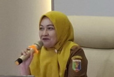 Lampung Punya 13 Titik Panas Bumi, Baru Ulubelu yang Sudah Dimanfaatkan