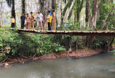  Akhirnya Jembatan Bambu Ditinjau BPJN Lampung