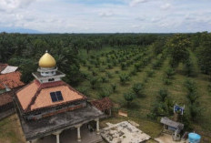 PTPN IV Regional VII Pasang PLTS Atap di Masjid Nurul Iman Padangratu