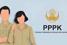 Jutaan di Indonesia Honorer Wajib Tau, Ini Informasi Terbaru Pendaftaran PPPK