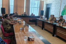 Seleksi Kompetensi PPPK Tahap II Mesuji Mulai 8 Mei 2025, Di sini Lokasinya!