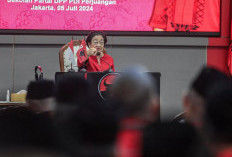 Megawati Akan Temui Kapolri Jika Hasto Kristiyanto Ditangkap