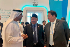   Emirates Airlines Akan Tambah Penerbangan 