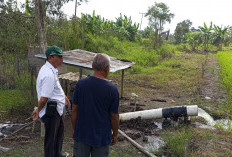 Dinas Pertanian Mesuji Upayakan Perbanyak Bantuan Sumur Bor untuk Sawah 