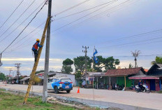 Pelayanan Makin Lancar, PLN Apresiasi Pemerintah Atas Perbaikan Ruas Jalan di Lampung