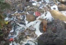 Air Lindi Mengalir ke Sungai, DLH Bandar Lampung Diam Saja