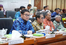  BPJS Kesehatan Perkuat Strategi Keaktifan Peserta 