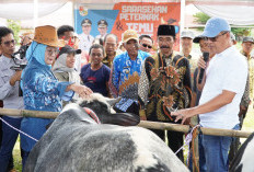 Bupati Tubaba Buka Sarasehan Peternak Sapi dan Temu Pedet Tubaba 2025
