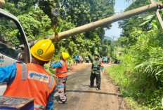 Gerak Cepat PLN Teluk Betung Pulihkan Tiang Roboh, Wujud Komitmen Jelang Hari Pelanggan Nasional