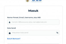 Triwulan III 2025, di Lampung Tercatat Ada 68.176 Pendaftar NIB 