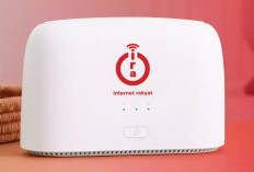 Keuntungan dan Kelemahan Internet Rakyat