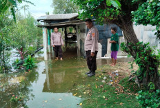 Ketinggian Banjir Rob di Kampung Bratasena Adiwarna Capai 15 Cm 