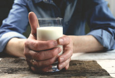 Susu Ibu Hamil, Fondasi Nutrisi Penting Bagi Ibu dan Janin