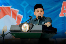 Bawaslu Lampung Fokus Awasi Distribusi Logistik untuk PSU Pilkada Pesawaran 2024