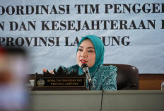 TP PKK Provinsi Lampung Siapkan Program Kolaboratif, Perkuat Sinergi dengan Pemda