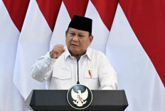 Ini Tiga Kebijakan RI Sikapi Kenaikan Tarif Impor