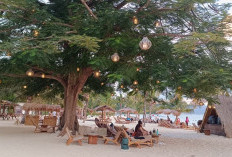 Kyokko Beach, Hadirkan Pantai dengan Suasana Tropis 