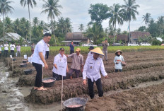 Pemkab Tanggamus Gulirkan Program Gertak Mata Babe, Tanam Bawang dan Cabai di Pekarangan
