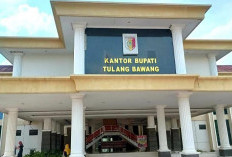 Investasi di Tulangbawang Tembus Rp648 Miliar