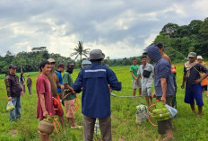 Petani Bersama DKPP Pesbar Berantas Hama Tikus 