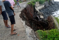 Abrasi Pantai di Pesisir Barat Kian Mengancam