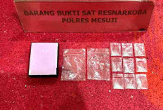 Pengedar Narkoba Kembali Ditangkap di Mesuji