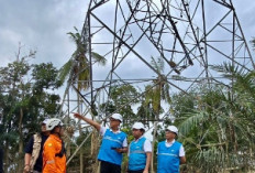 PLN Kebut Perbaiki Jalur Listrik Langsa-Pangkalan Brandan, Penopang Pemulihan Kelistrikan Aceh