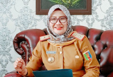 Target Sapi Potong Lampung 2024 Meningkat, Ini yang Dilakukan Disnakkeswan