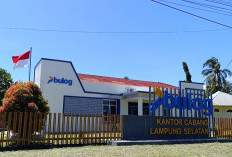 Bongkar Kasus Dugaan Korupsi Bulog Lamsel, Kejari Periksa Pejabat Daerah Hingga Pusat