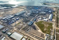  Freeport Indonesia Akan Tinggalkan Penggunaan Batu Bara 