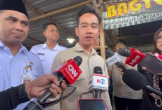 Gibran Siap Ditugaskan ke Papua, Mensesneg: Itu Sesuai UU Otsus, Bukan Perintah Presiden