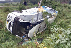  Tak Kuat Menanjak, Bus Damri Masuk Parit 