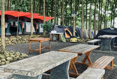 Rekomendasi Tempat Wisata Seru Bukit Aslan yang Punya Hutan Ajaib,