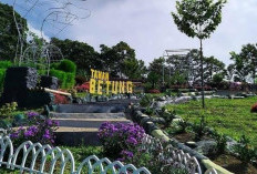 Taman Betung Wisata Edukasi yang Wajib Kamu Kunjungi