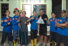  Ular Berbisa Sembunyi di Tumpukan Genting Rumah Warga di Tulangbawang 