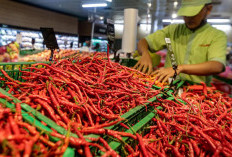 Harga Cabai Tembus Rp78.110 per Kilogram 