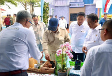 Presiden Prabowo Dorong PTPN Tingkatkan Produktivitas Gambir, Hilirisasi Jadi Kunci Nilai Tambah