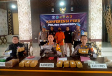  Warga Sukoharjo Belajar Teknik Ekstrak Ganja di Belanda