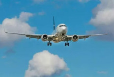  Boeing Sebut Indonesia Butuh 600 Pesawat Baru