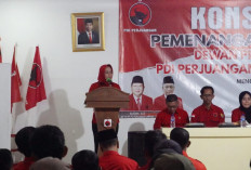 Kabar Pilkada Tulang Bawang 2024: Winarti Panaskan Mesin Partai, Ismet Roni Dapat Dukungan PPP