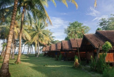 Sumatra Surf Resort Pesisir Barat, Alternatif Lokasi Liburan Akhir Tahun