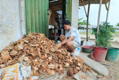 Harga Santan di Mesuji Meroket