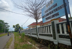 Pemprov Gusur Lahan di Sabahbalau