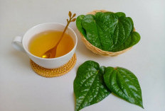  Atasi Keputihan dengan Ramuan Herbal 